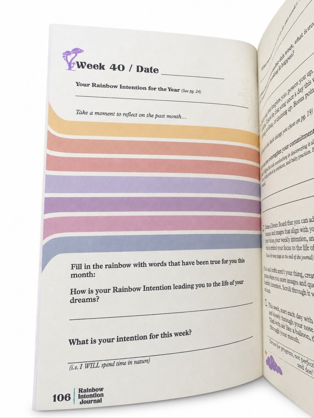Rainbow Intention Journal 🌈 52 Week Guided Manifestation Goal Setting Creative - Picture 9 of 9